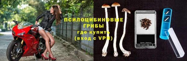 спиды Сатка