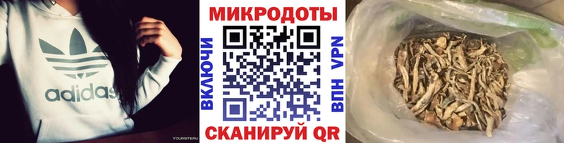 Галлюциногенные грибы GOLDEN TEACHER  Купить закладки  Балашиха 